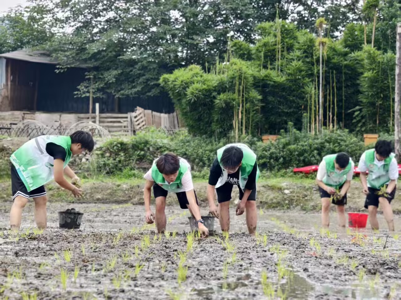 415472A23BE4A0500AC0A721F2159F42.jpg 415472A23BE4A0500AC0A721F2159F42.jpg