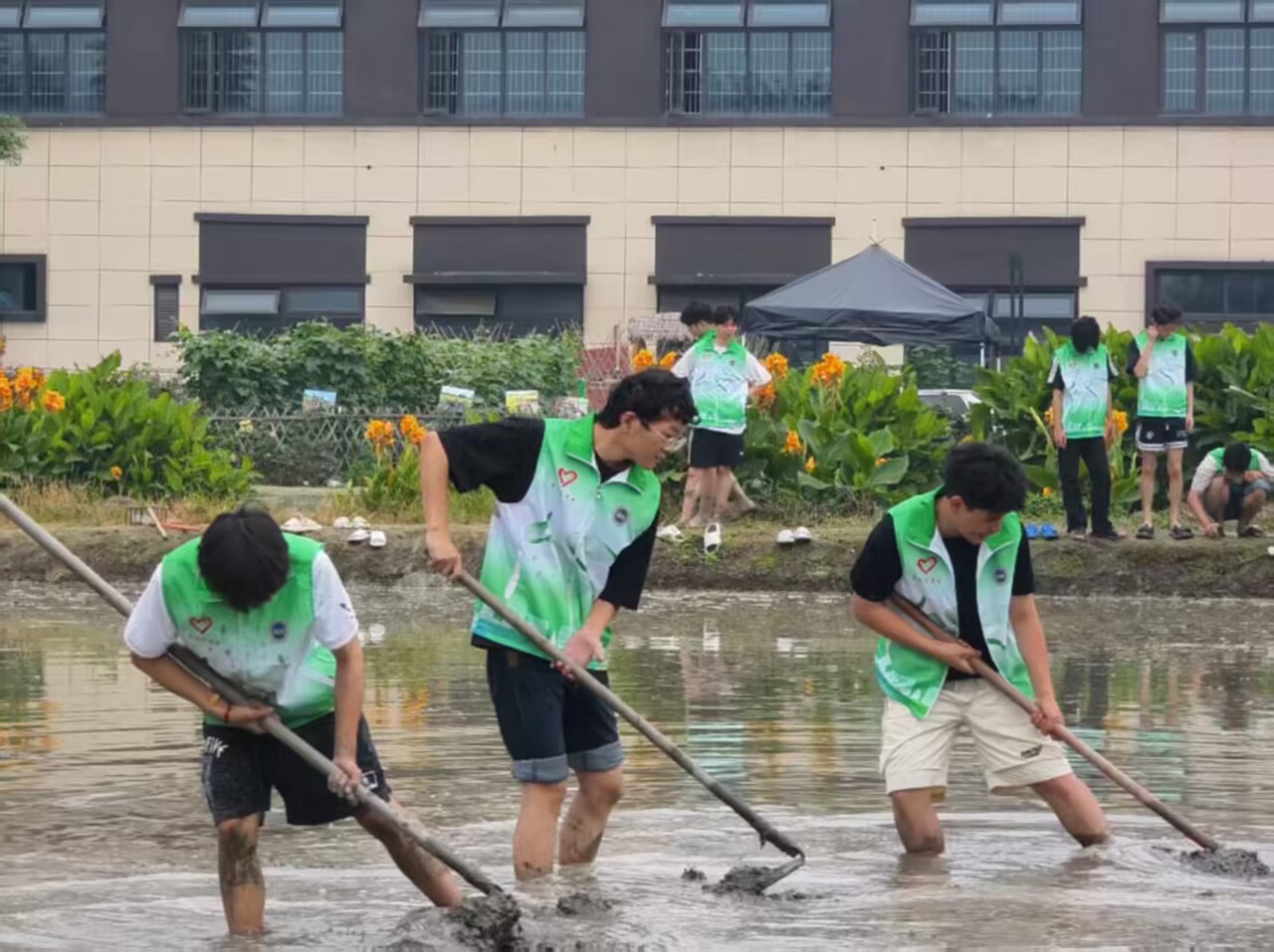 B421093259D0C6DB36E6AD155373388F.jpg B421093259D0C6DB36E6AD155373388F.jpg