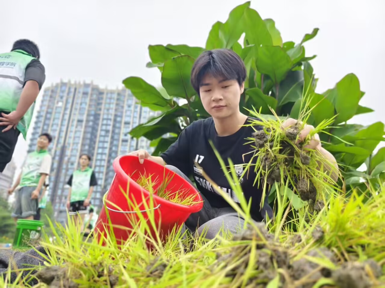 E2F2D19405157AB4626BB82A959A46BF.jpg E2F2D19405157AB4626BB82A959A46BF.jpg