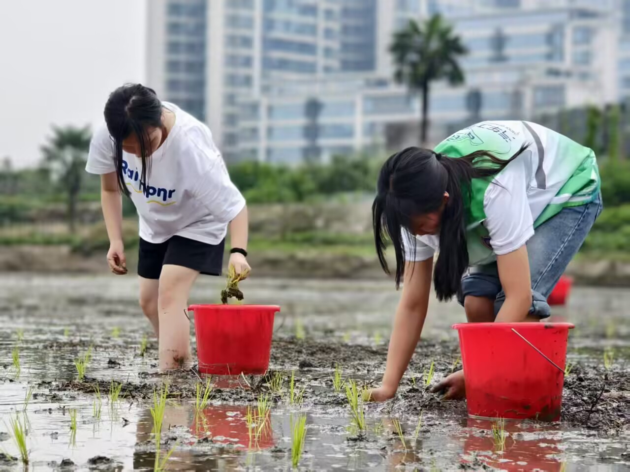 63EB1C0D69894A6123AC3D9E71A62E30.jpg 63EB1C0D69894A6123AC3D9E71A62E30.jpg